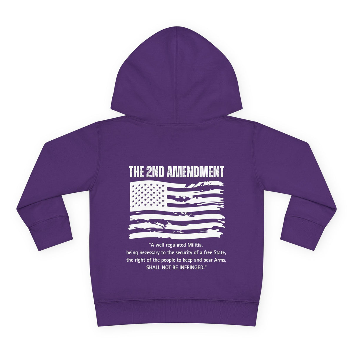 Toddler 2nd Amendment Pullover Fleece Hoodie, Cute Kids Hoodie, American Pride, Gift for Patriots, Cozy Toddler Wear