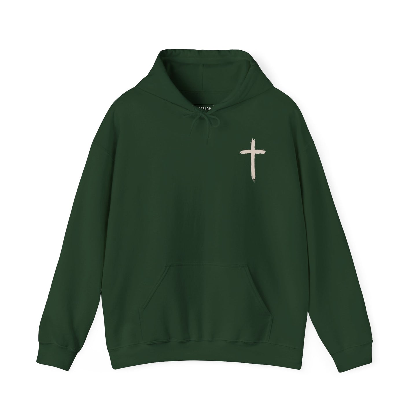 Look At The Birds of the Air Hoodie — Cross Hooded Sweatshirt, Christian Graphic Pullover