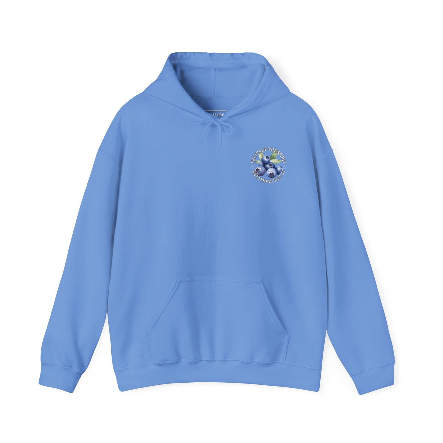 Fruits of the Spirit Hoodie — Watercolor Fruit Faith Sweatshirt