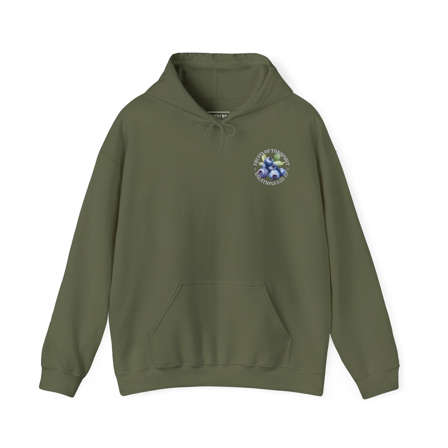 Fruits of the Spirit Hoodie — Watercolor Fruit Faith Sweatshirt