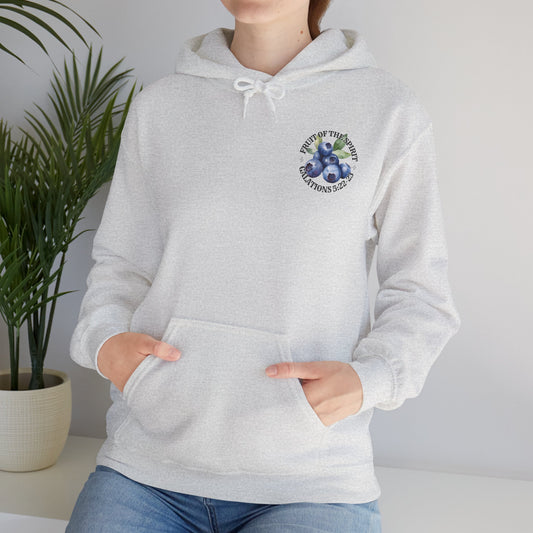 Fruit of the Spirit Christian Hoodie, Galatians 5:22-23 Heavy Blend Hooded Sweatshirt