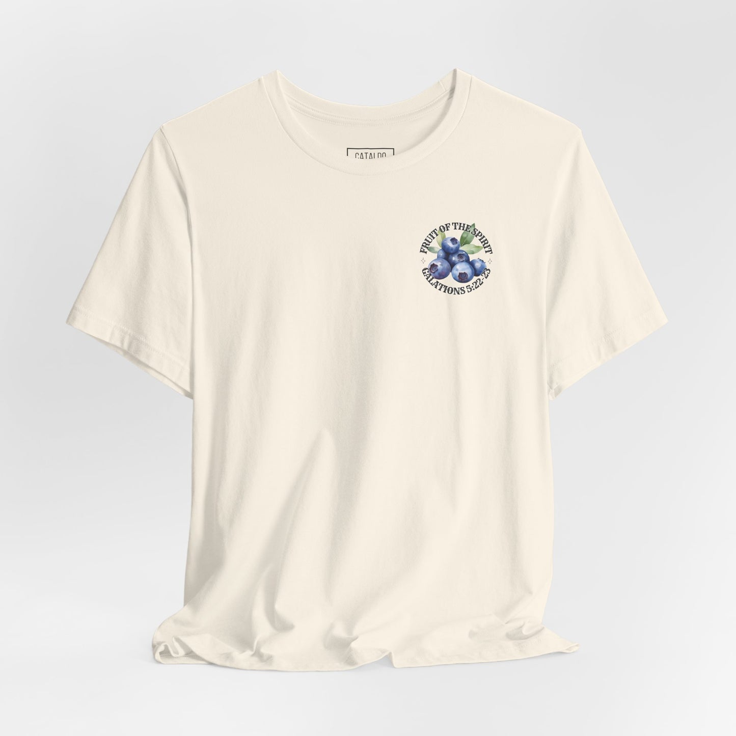 Fruit of the Spirit Christian T-Shirt | Galatians 5:22–23 Bible Verse Tee