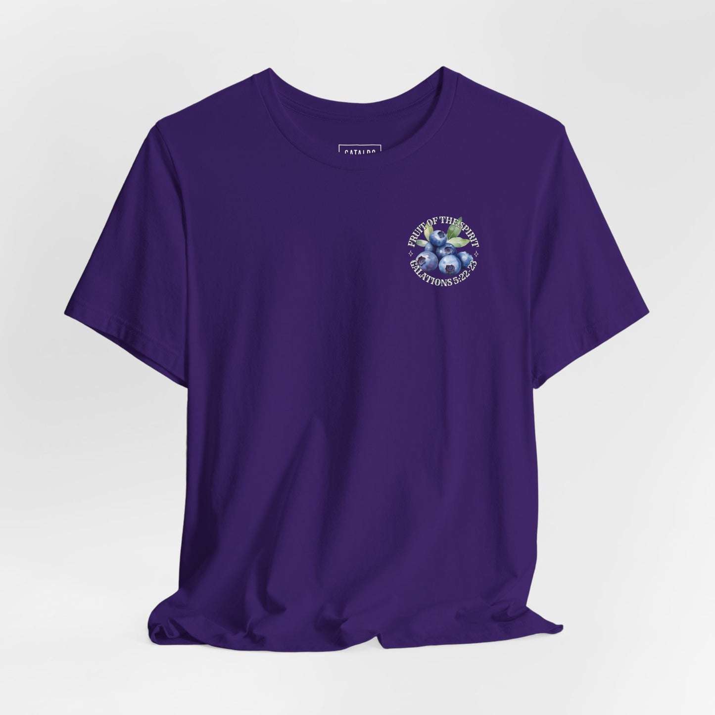 Fruit of the Spirit Christian T-Shirt | Galatians 5:22–23 Bible Verse Tee