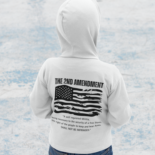 Toddler 2nd Amendment Pullover Fleece Hoodie, Cute Kids Hoodie, American Pride, Gift for Patriots, Cozy Toddler Wear